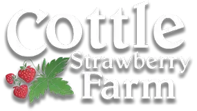 Cottle Strawberry Farm