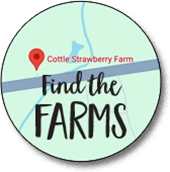 find Cottle Strawberry farm