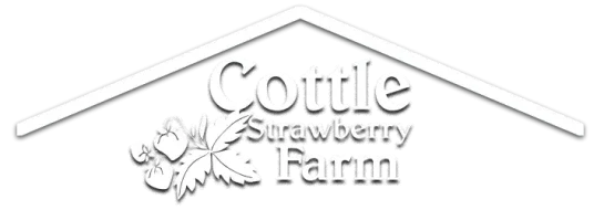 Cottle Strawberry Farm header image