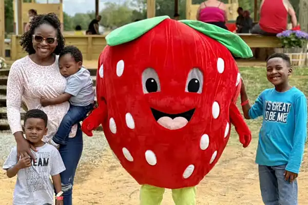 berryCuties