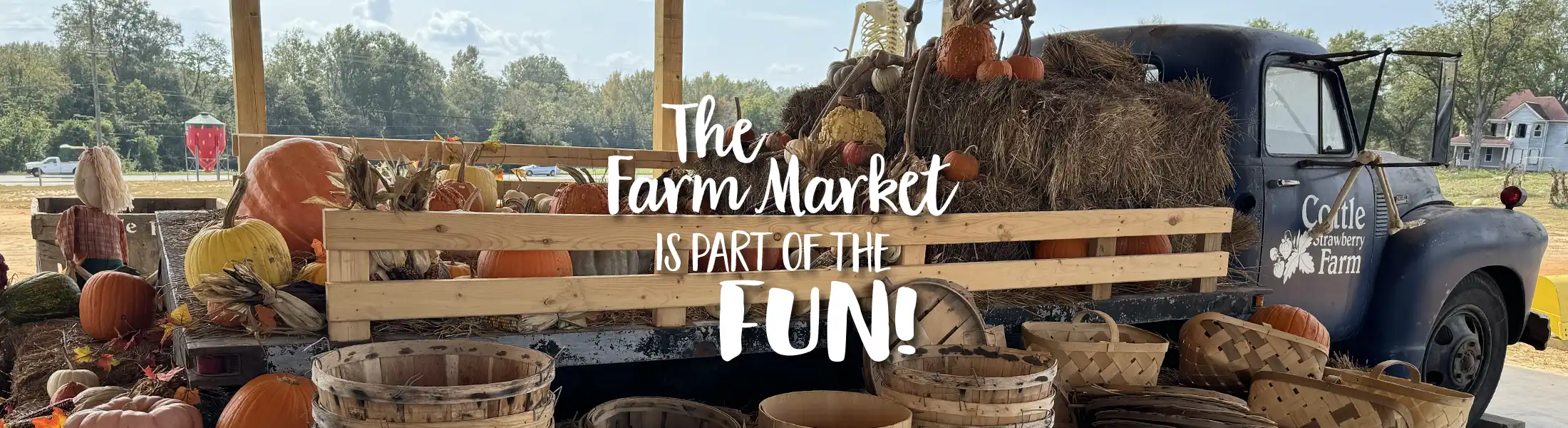 farmMarketFun