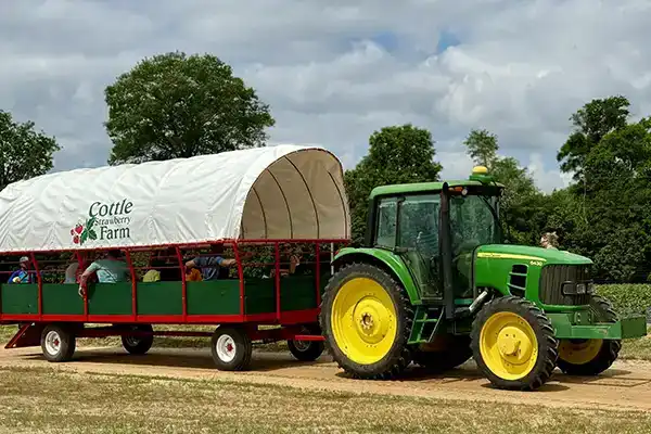 parkHayride